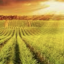 Barossa Waste & Recycling