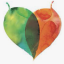 Adelaide Hills Food & Agribusiness