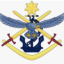 Robotics in Defence