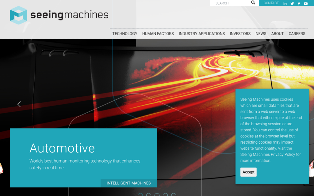 Seeing Machines