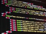 Software Development