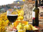 Wine